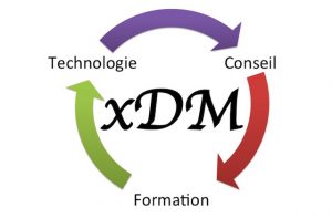 Logo xDM Consulting